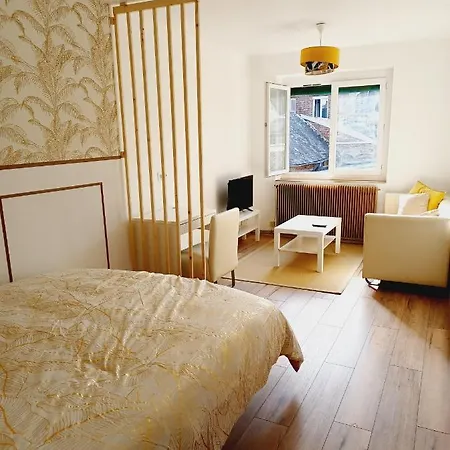 Апартаменты Superbe En Plein Centre-ville De *