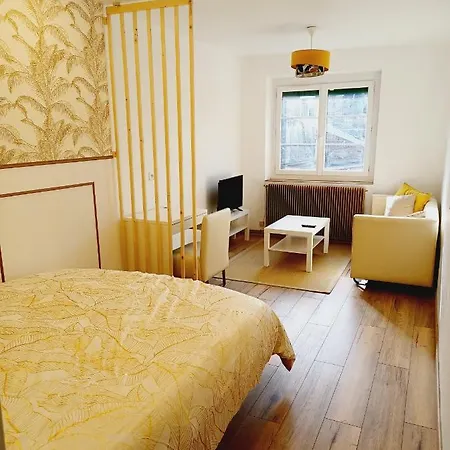 Superbe En Plein Centre-ville De Апартаменты *